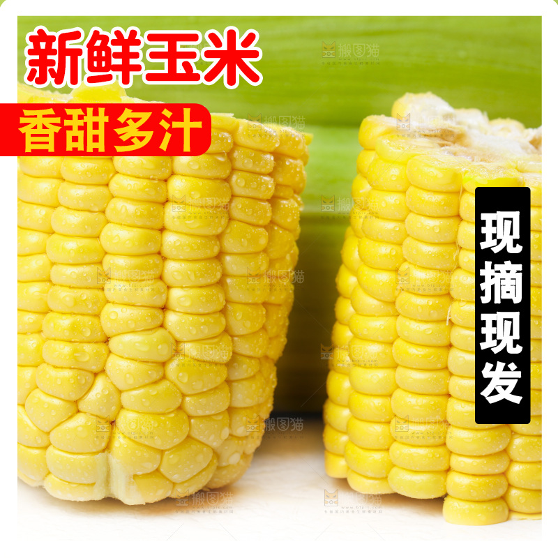 白底上放着新鲜玉米