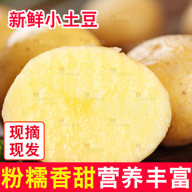 深底上的宜昌小土豆