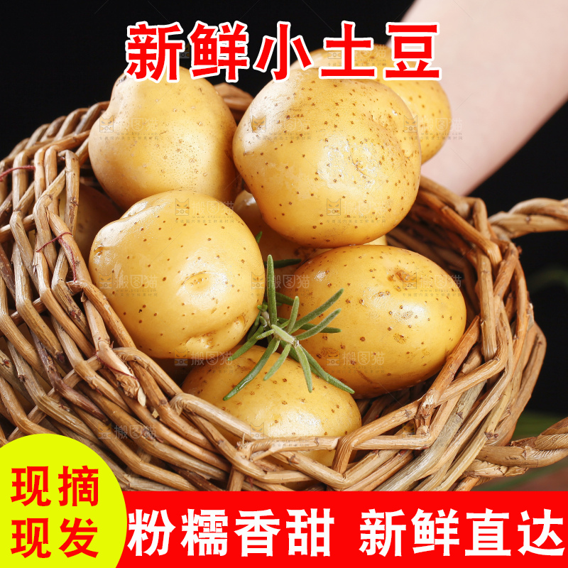 篮子里的山东黄皮小土豆