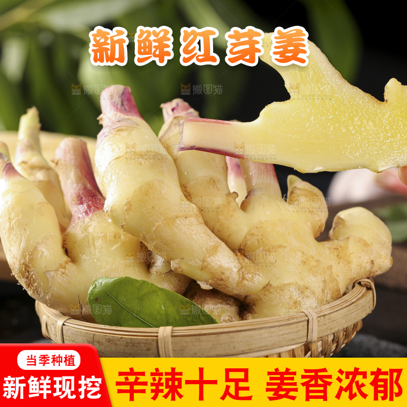 篮子子装着新鲜生姜