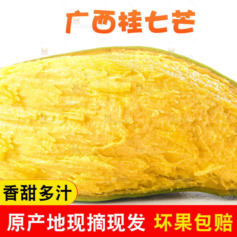 白底上放着青皮桂七芒