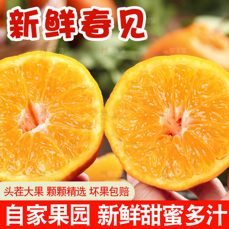 深底上放着春见橘柑