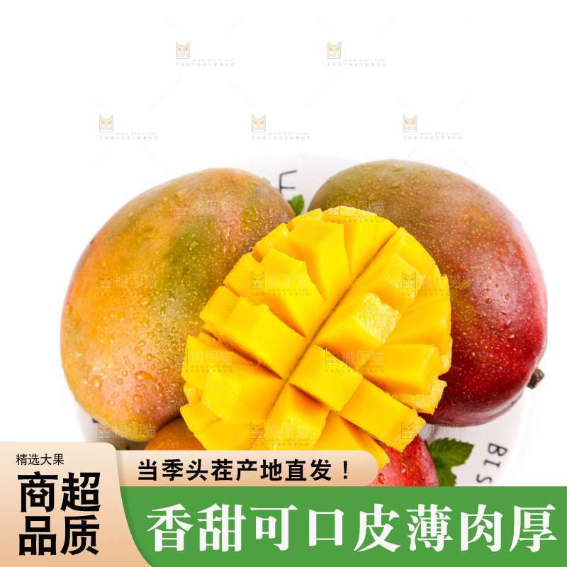 白底上的四川吉禄芒