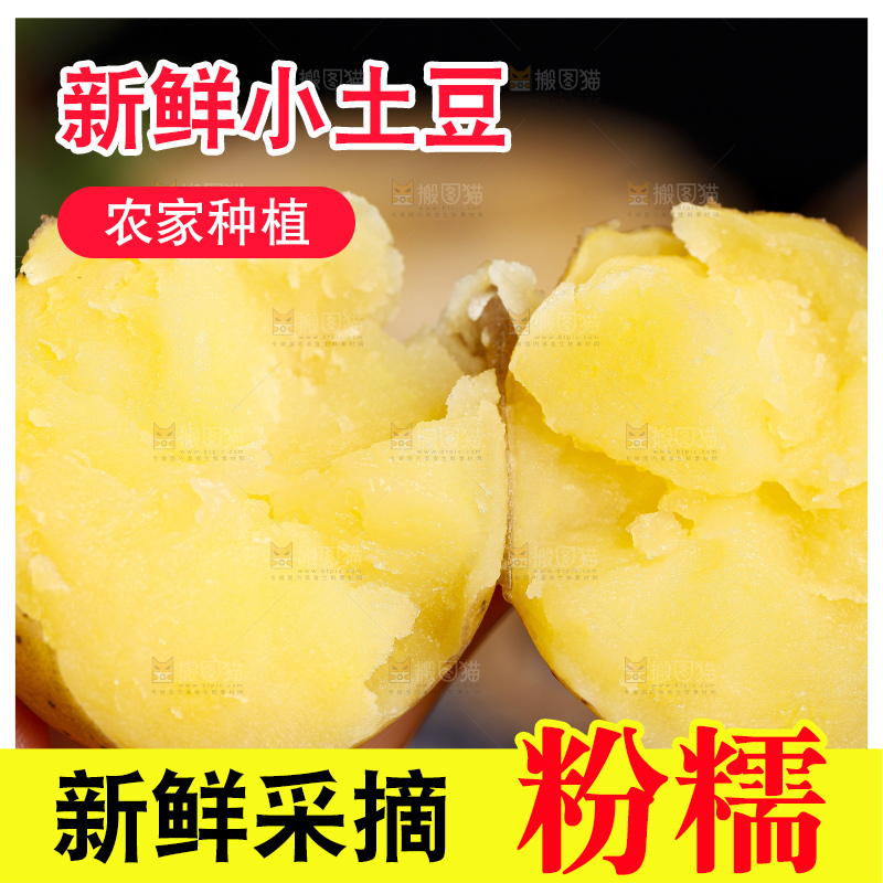 手里拿着迷你小土豆