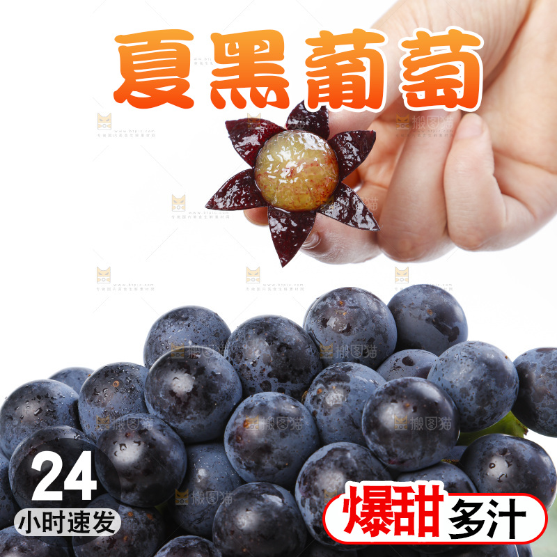手里拿着黑加仑葡萄