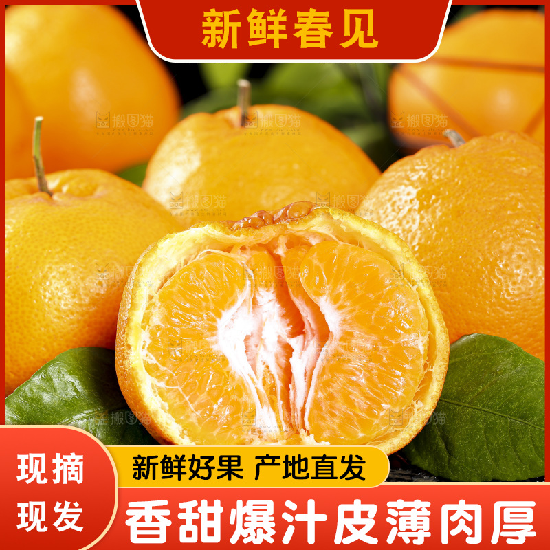 石板上摆放着四川春见耙耙柑