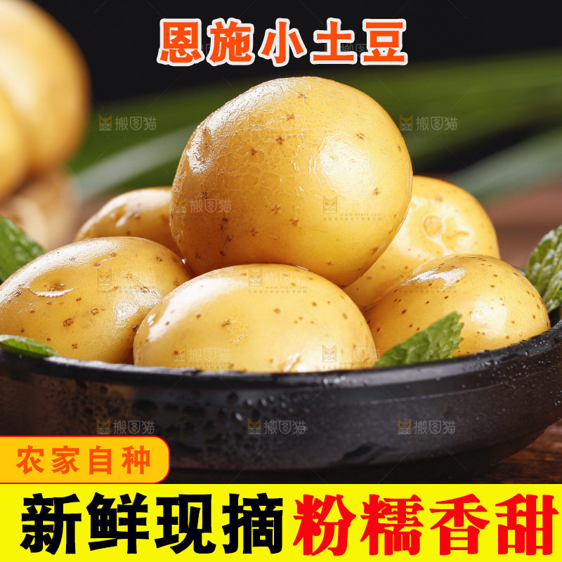 深底上的宜昌小土豆