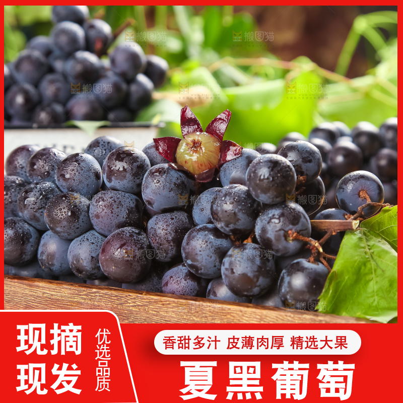 白格子底上放着夏黑葡萄