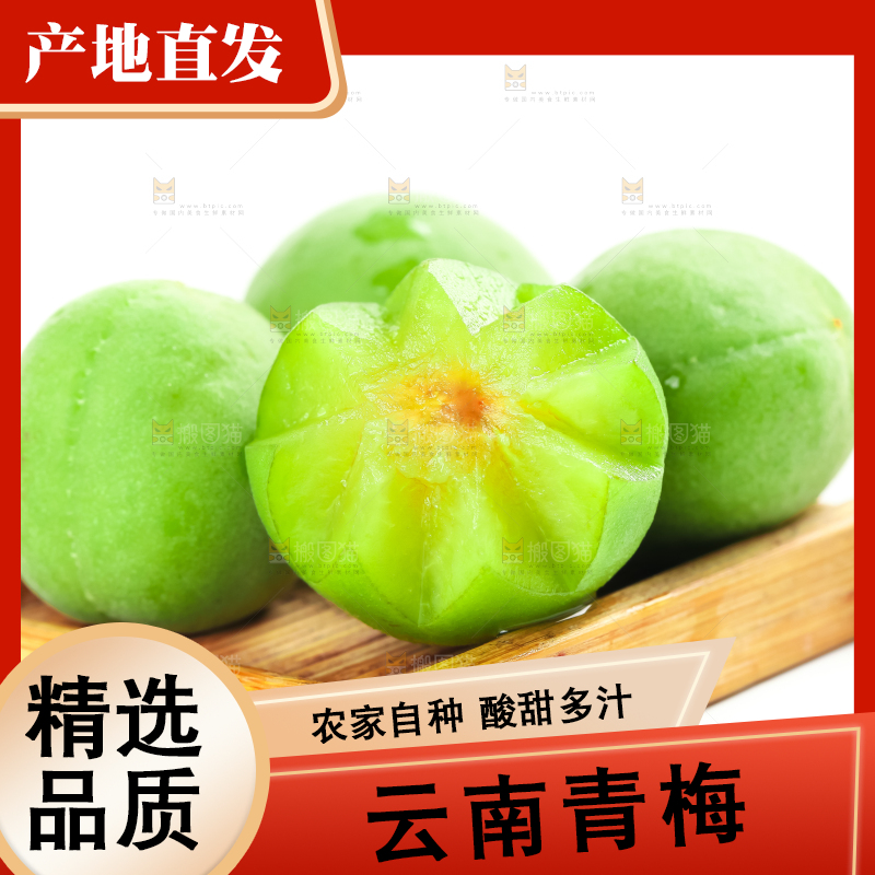 白底上的诏安青梅