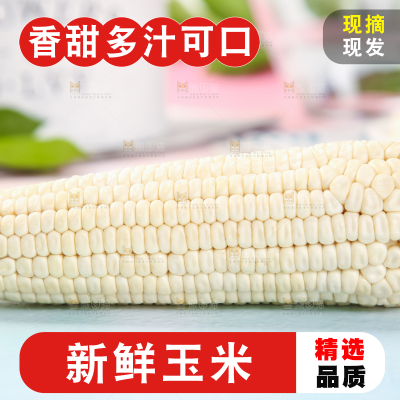 浅底上的牛奶水果玉米