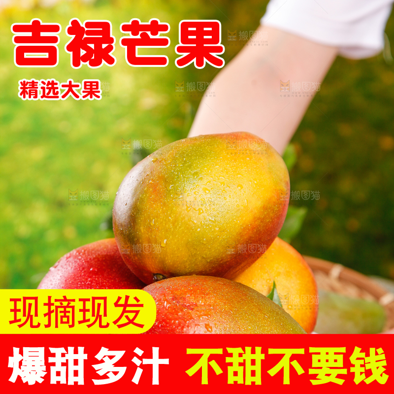 手里拿着新鲜芒果