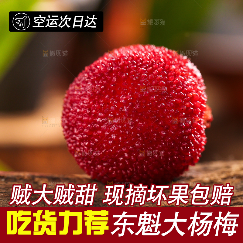 深底上放着余姚杨梅