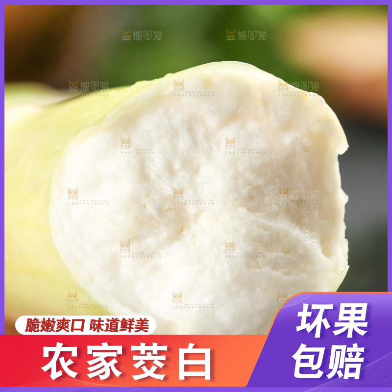 石板上的云南茭白