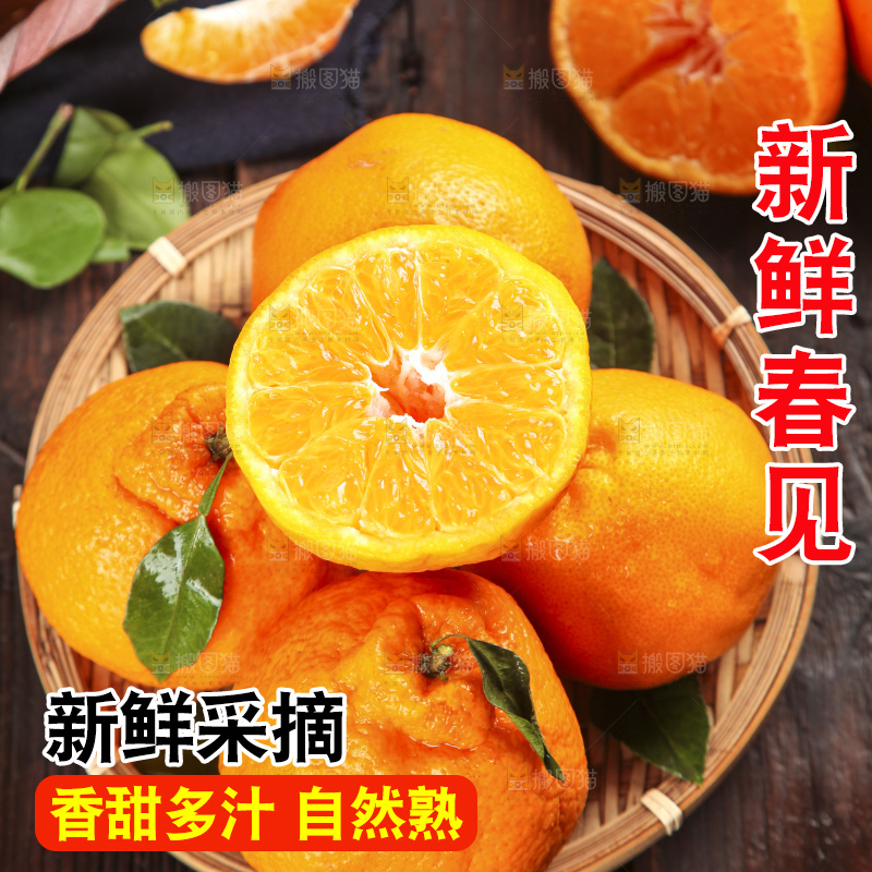 篮子里装着一堆四川春见耙耙柑