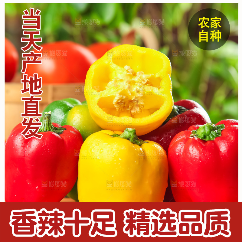 木板上的广西灯笼椒