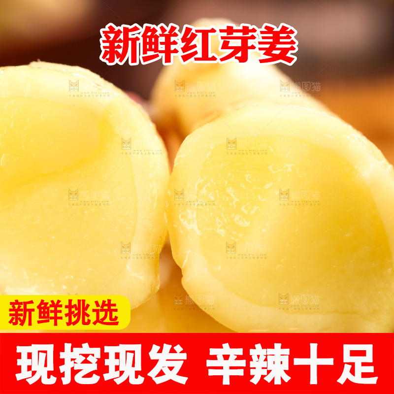 木板上的山东红芽生姜