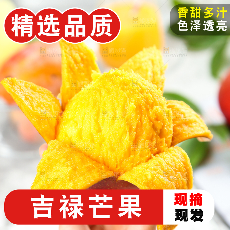 手里拿着新鲜芒果