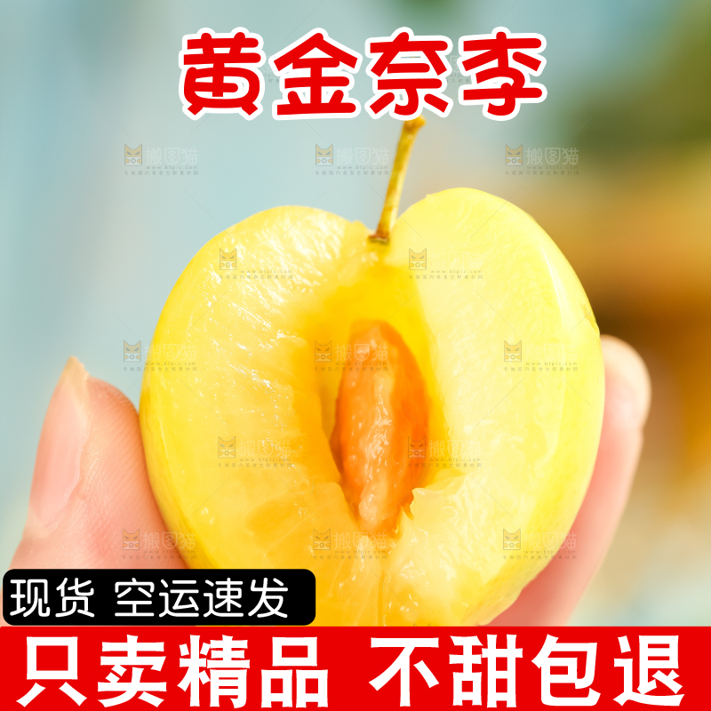 手里拿着新鲜黄金奈李
