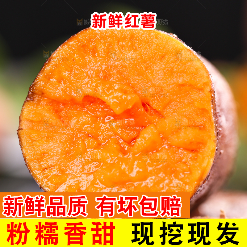 手上拿着福建六鳌蜜薯