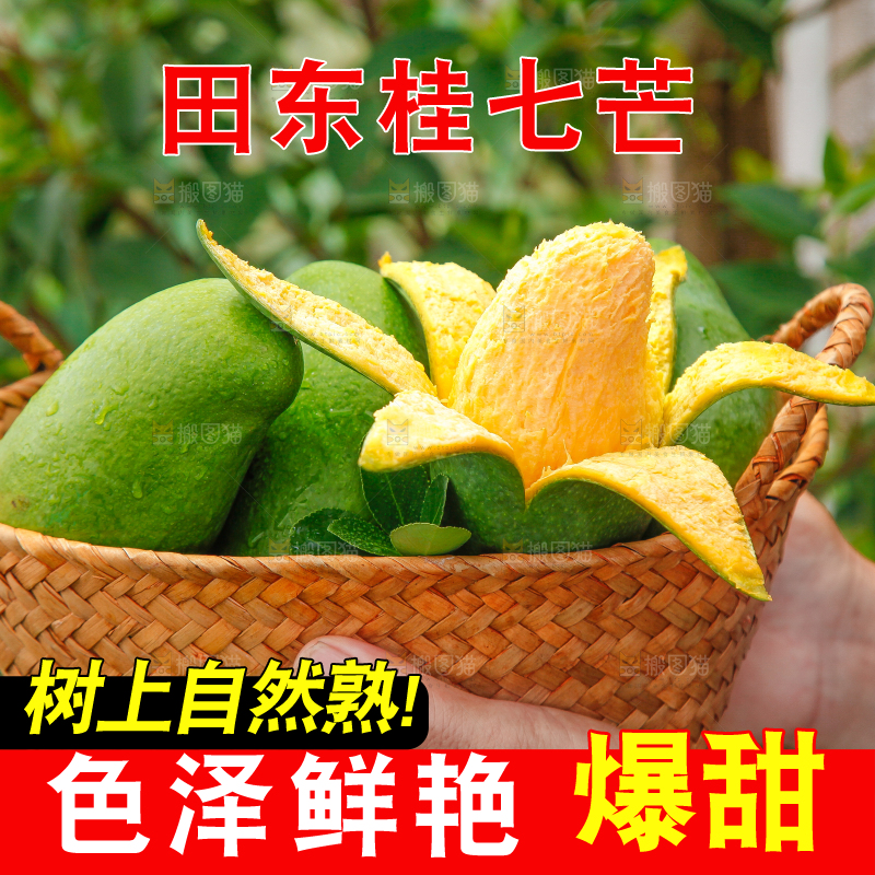 篮子里装着田东桂七芒
