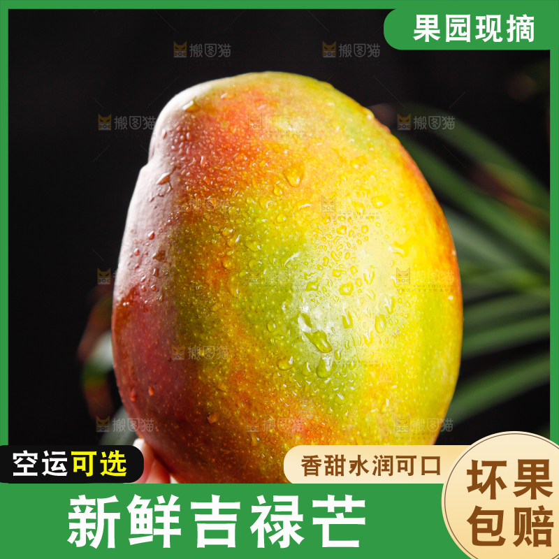 手里拿着爱文芒