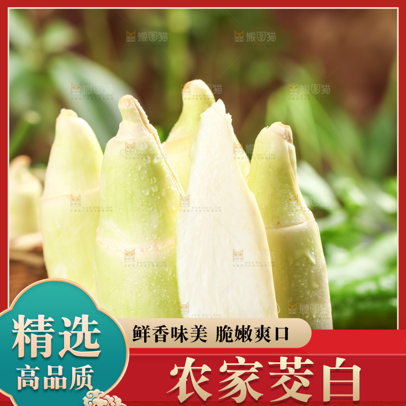 黑石板上的云南茭白