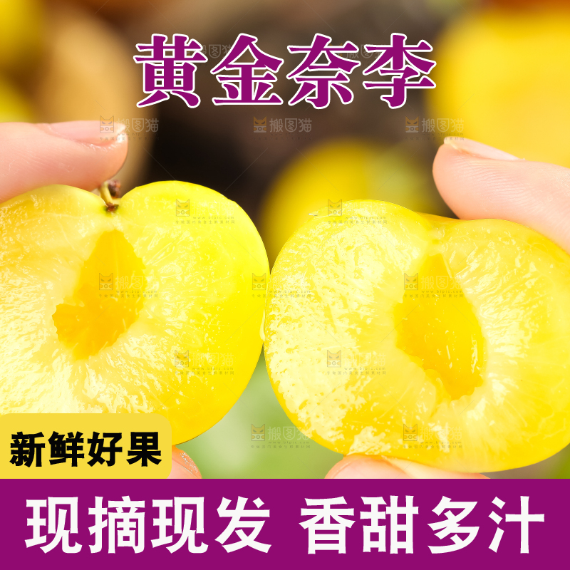 手里拿着黄金奈李