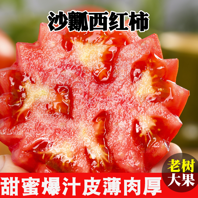 手里拿着米易沙瓤西红柿