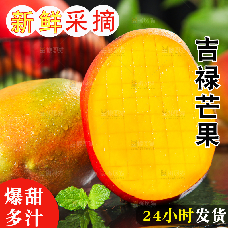 黑石板上的四川吉禄芒