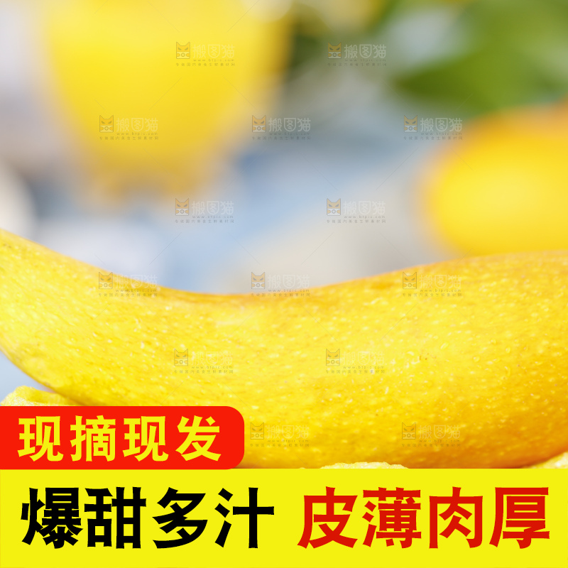 篮子里装着牙签芒