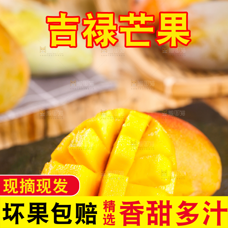 石板上的四川吉禄芒