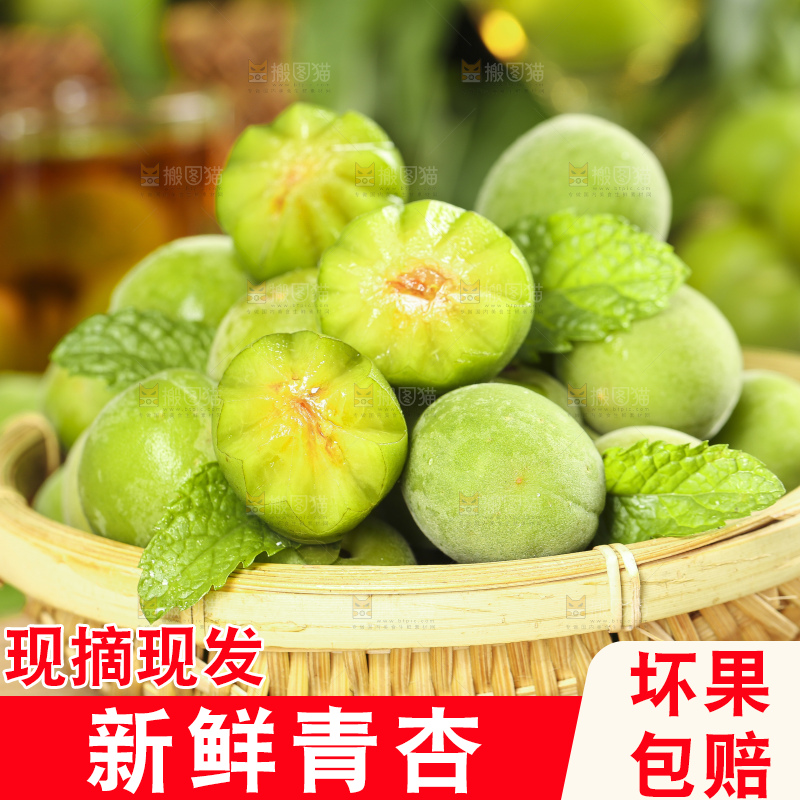 篮子里装着沂蒙山青杏