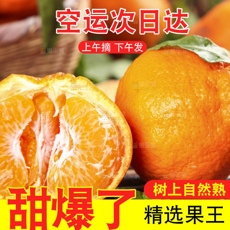 木板上的春见耙耙柑