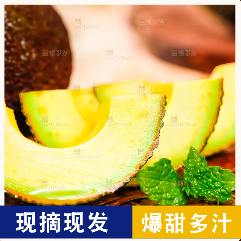 浅底上的巨无霸牛油果