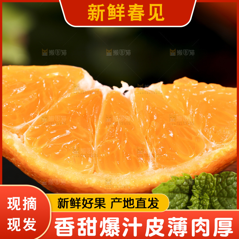 石板上摆放着四川春见耙耙柑