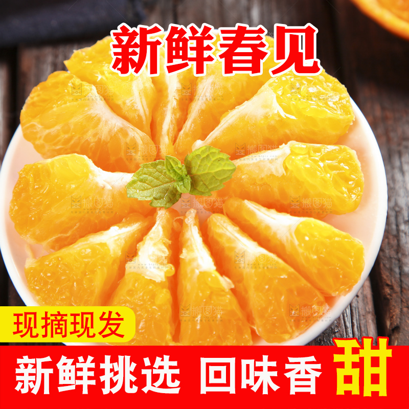木板上的春见耙耙柑
