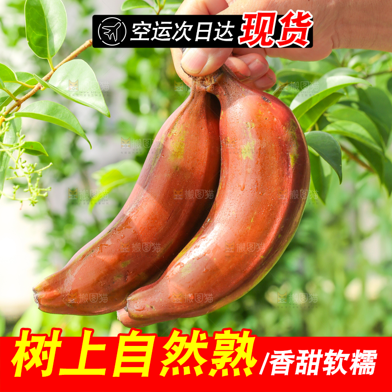 手里拿着美人蕉