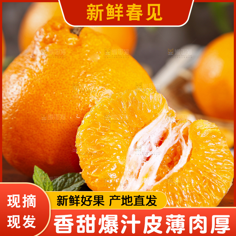 木板上的春见耙耙柑