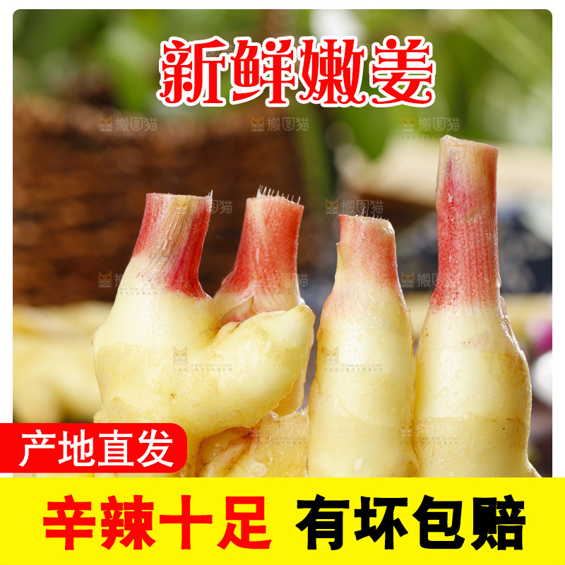 木板上的红芽嫩仔姜