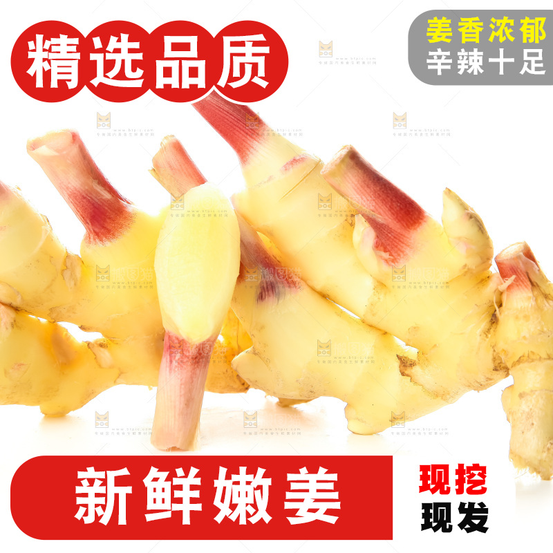 白底上的红芽嫩姜