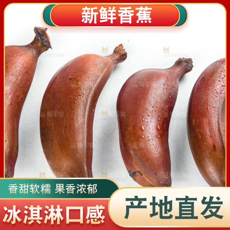 白底上的红皮美人蕉