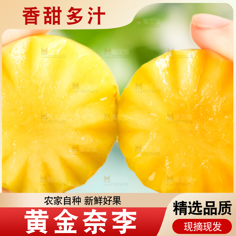 手里拿着新鲜黄金奈李