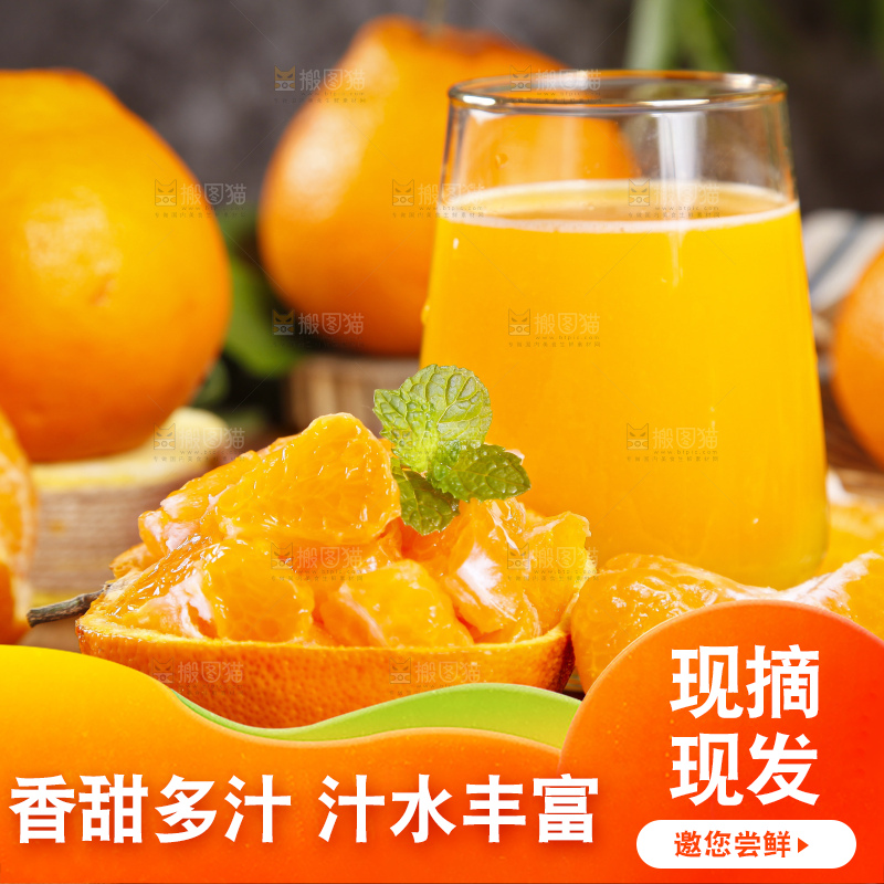 木板上的春见耙耙柑