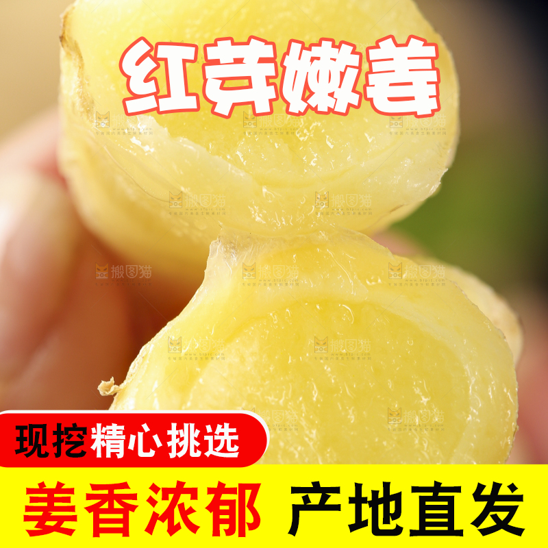 手里拿着红芽姜