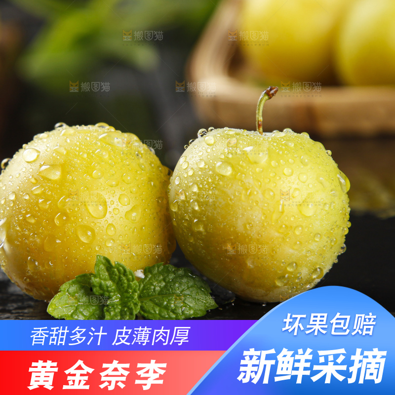 石板上放着九峰山黄金奈李