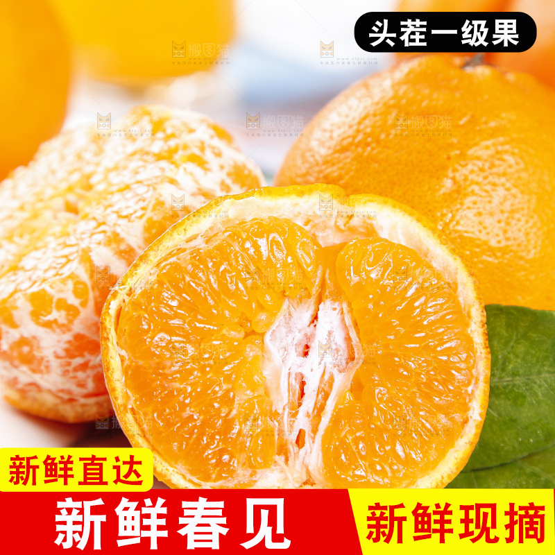 盘里装着四川春见耙耙柑