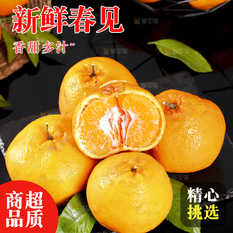 石板上摆放着四川春见耙耙柑