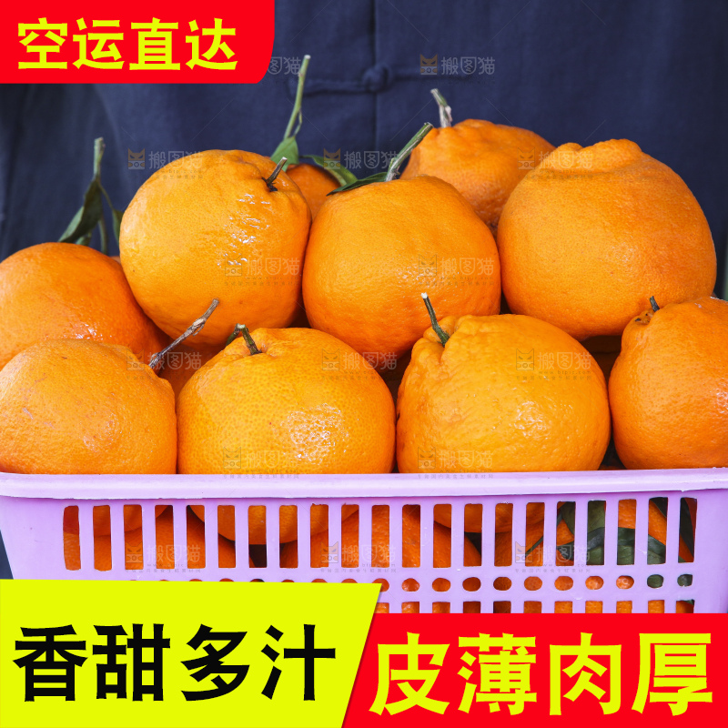 手里拿着耙耙柑