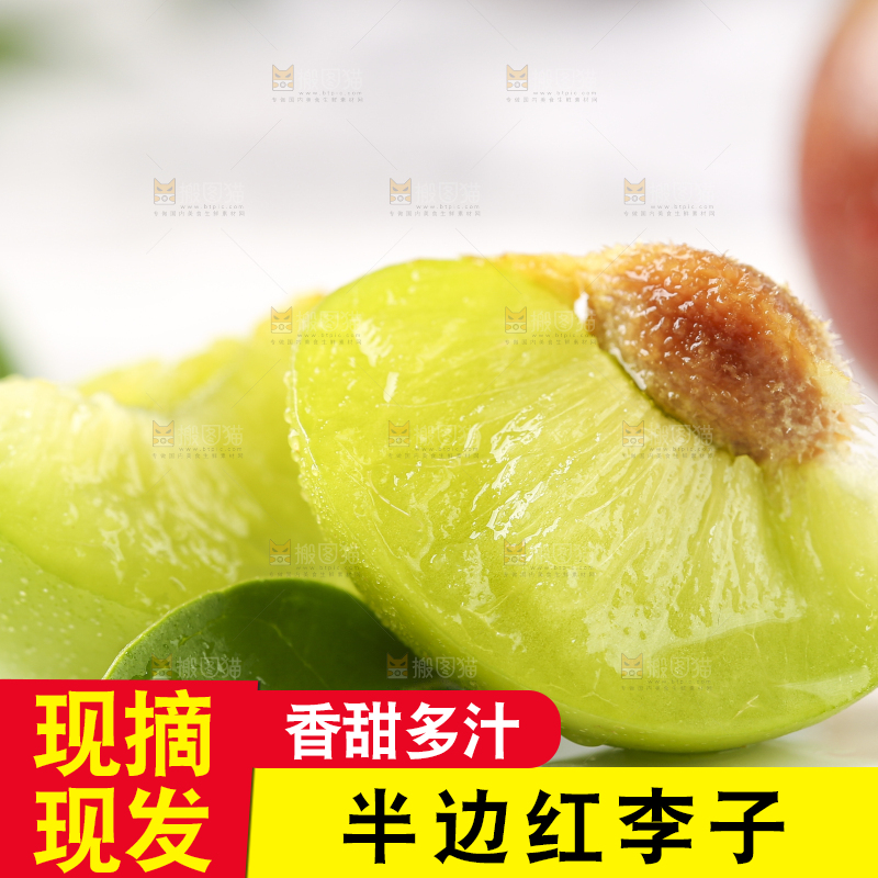 石板上摆放着四川茵红脱骨李