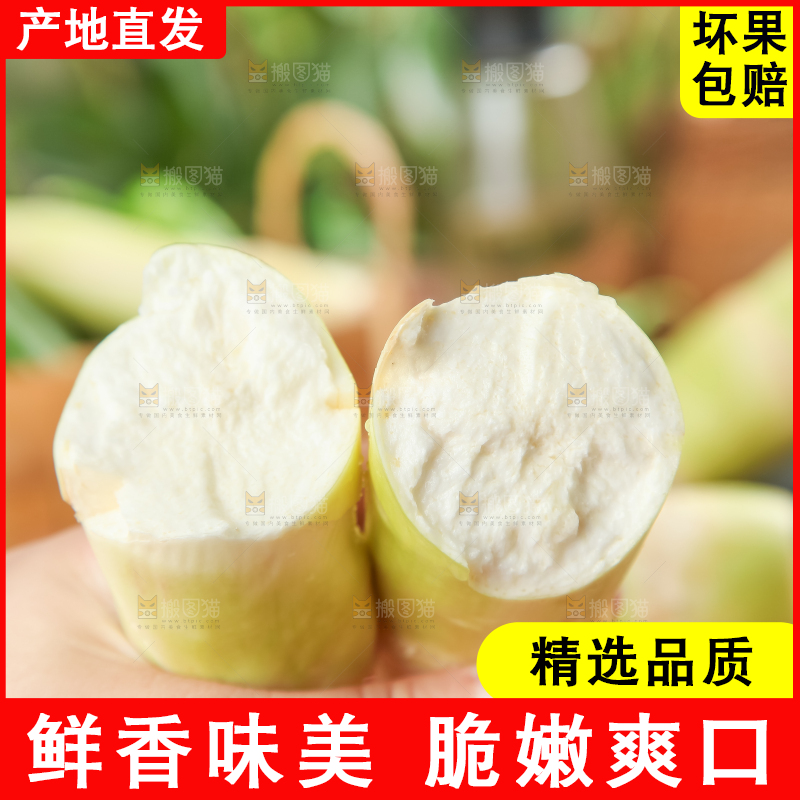 手里拿着湖北新鲜茭白